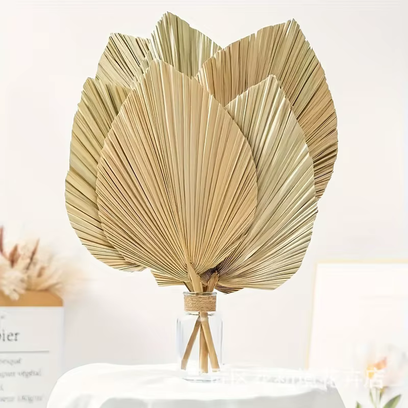 5pcs Natural Dried Palm Leaves Fans Large Tropical Palm Spears for Wedding Indoor Party Boho Decor